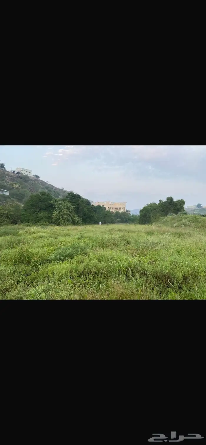 مزرعة للبيع 3