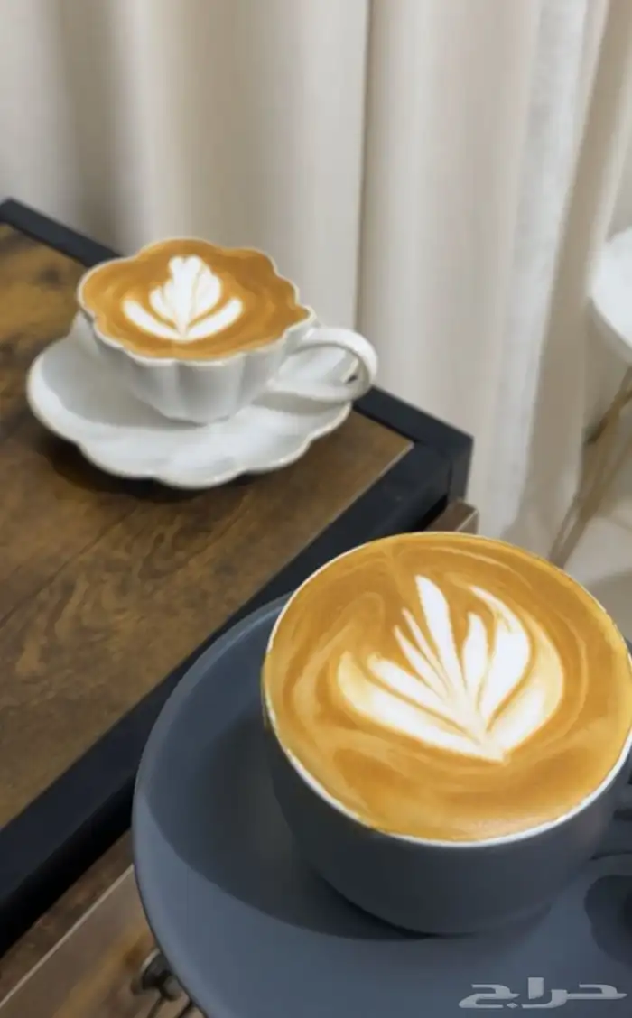 مطحنه قهوه هايبرو G5 جي فايف 4