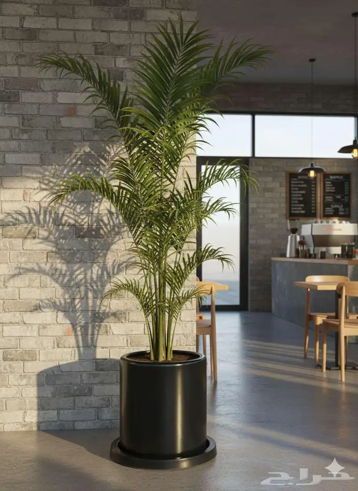 حوض زرع فايبر دائري 0