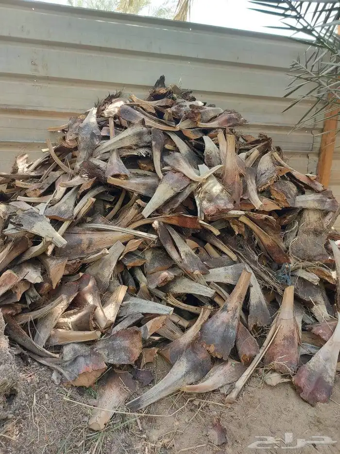 أصحاب المندي توفر كرب وجذوع النخيل 5 ريال فقط 2