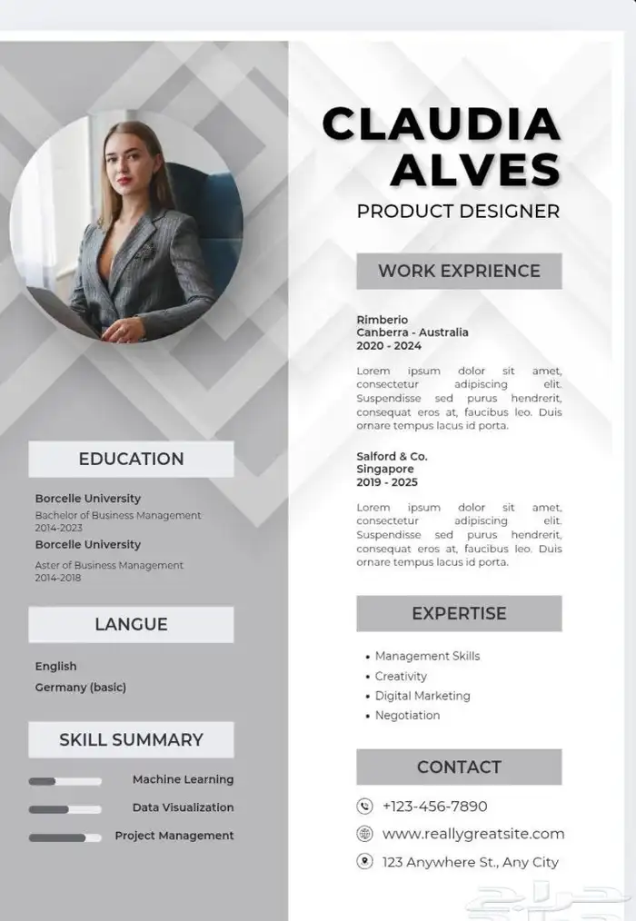 سيرة ذاتية احترافية بجميع اللغات سرعة في الانجاز 2