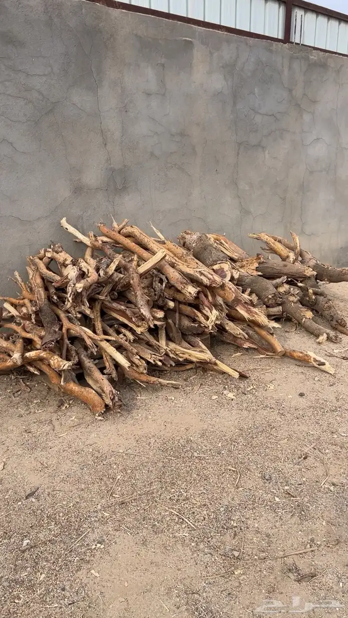 ح ط ب للبيع 2