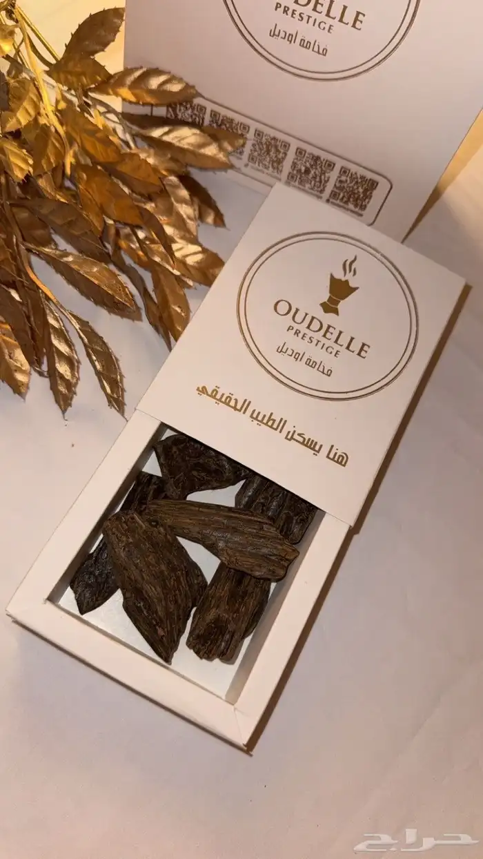 عود كلمنتان المحسن ( عرض الشتاء ) 2