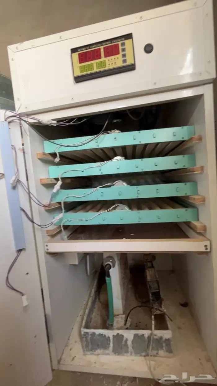 فقاسة تماتيك 3