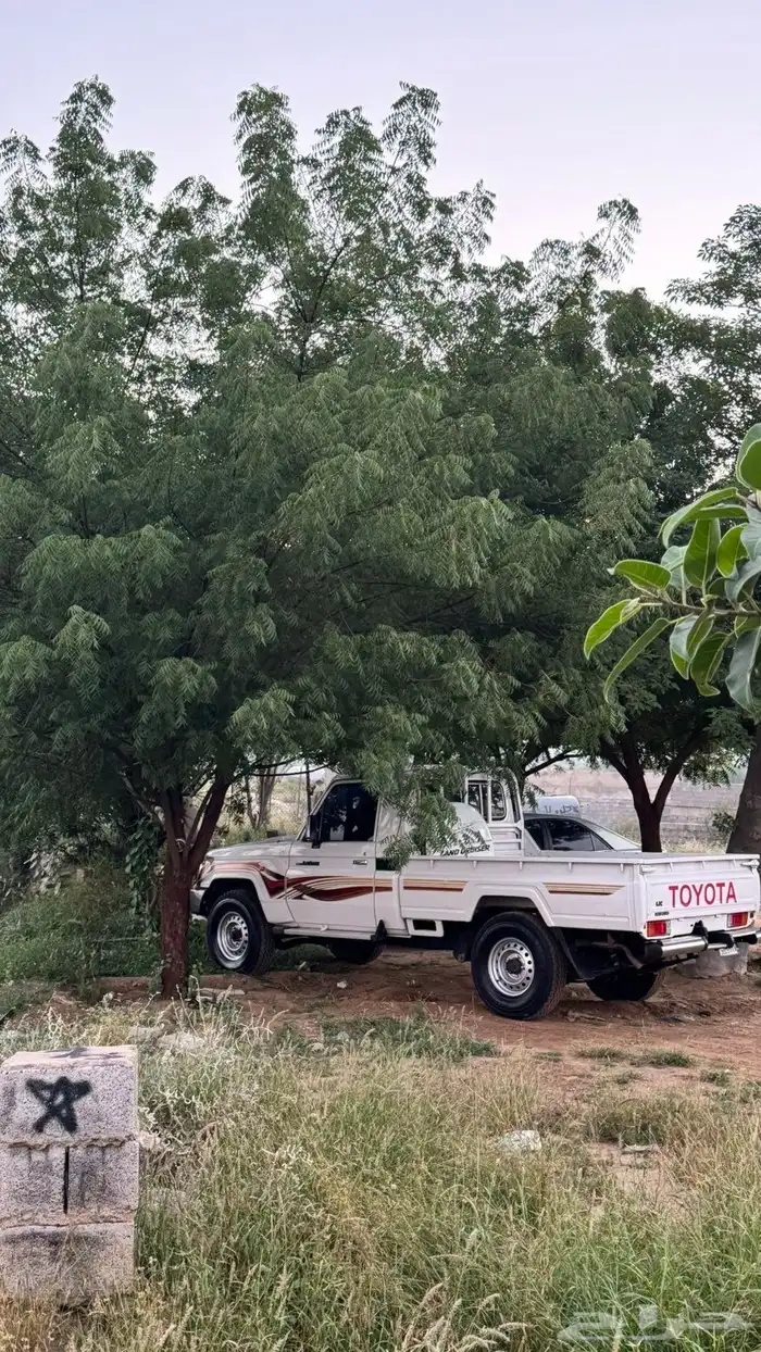 شاص 2009ابيض 3