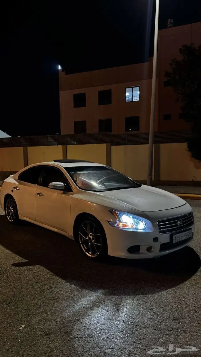 مكسيما فل كامل 2010 3