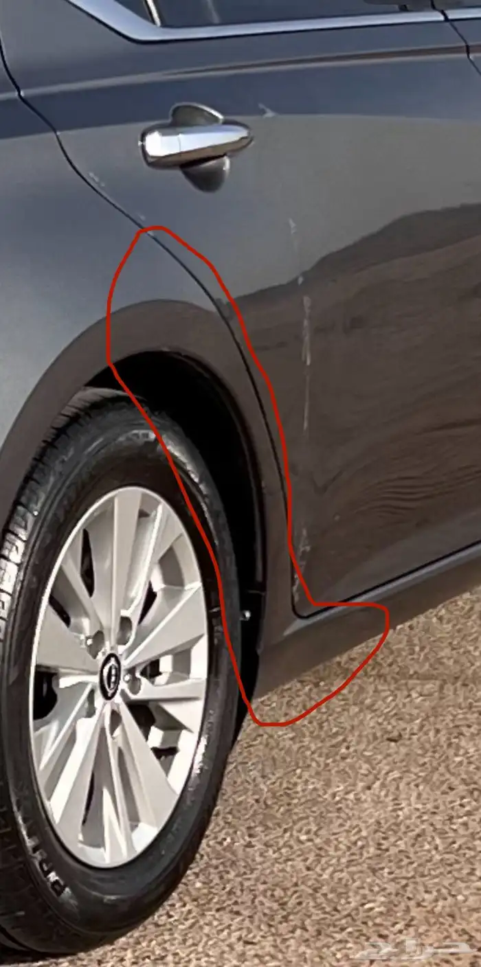 التيما 2024 14