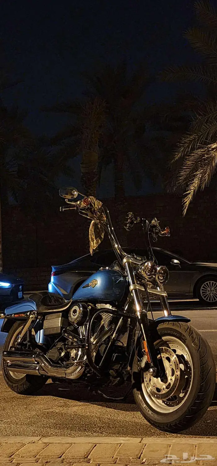 هارلي داينا fat bob 3