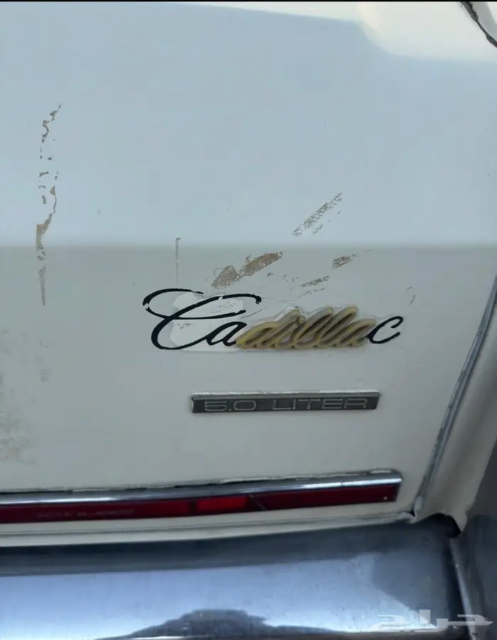 كاديلاك فليت وود 2