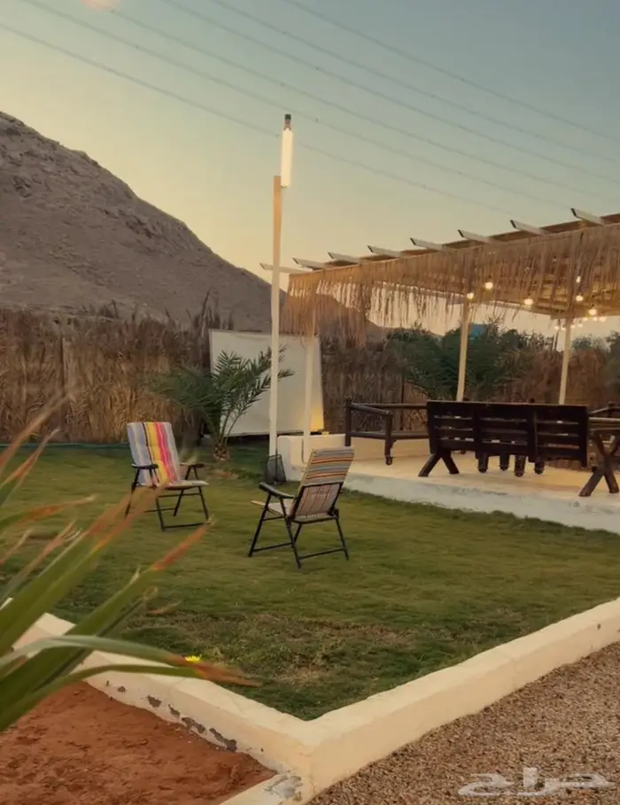 مخيم المزاحميه - ديراب - قصور المقبل 5