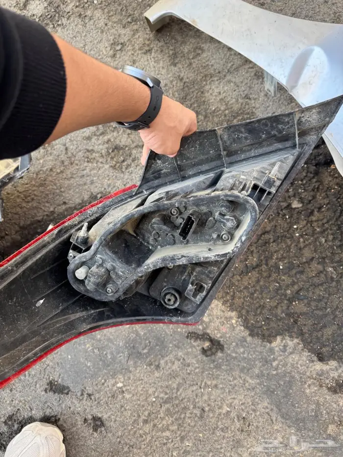 اصطب صني 2018 1