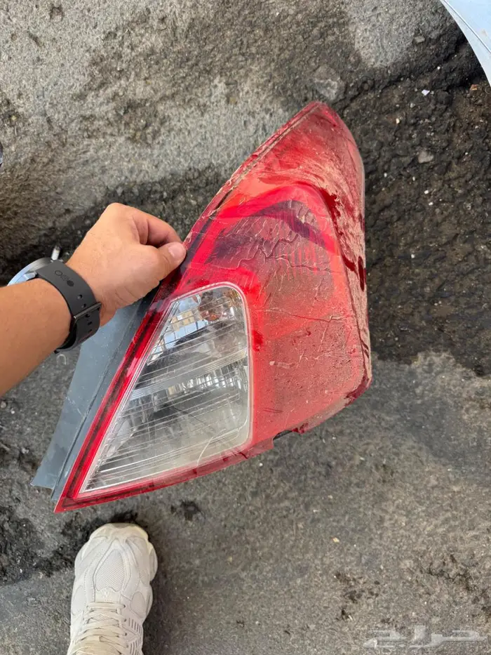 اصطب صني 2018 2