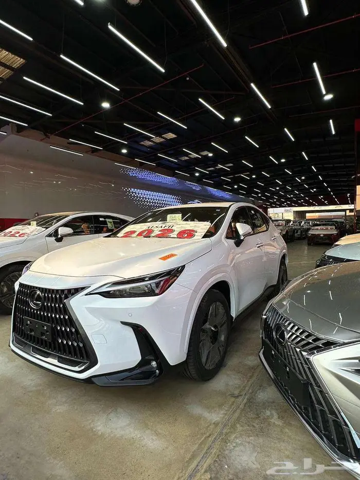 لكزس NX 350 AA 2026 2