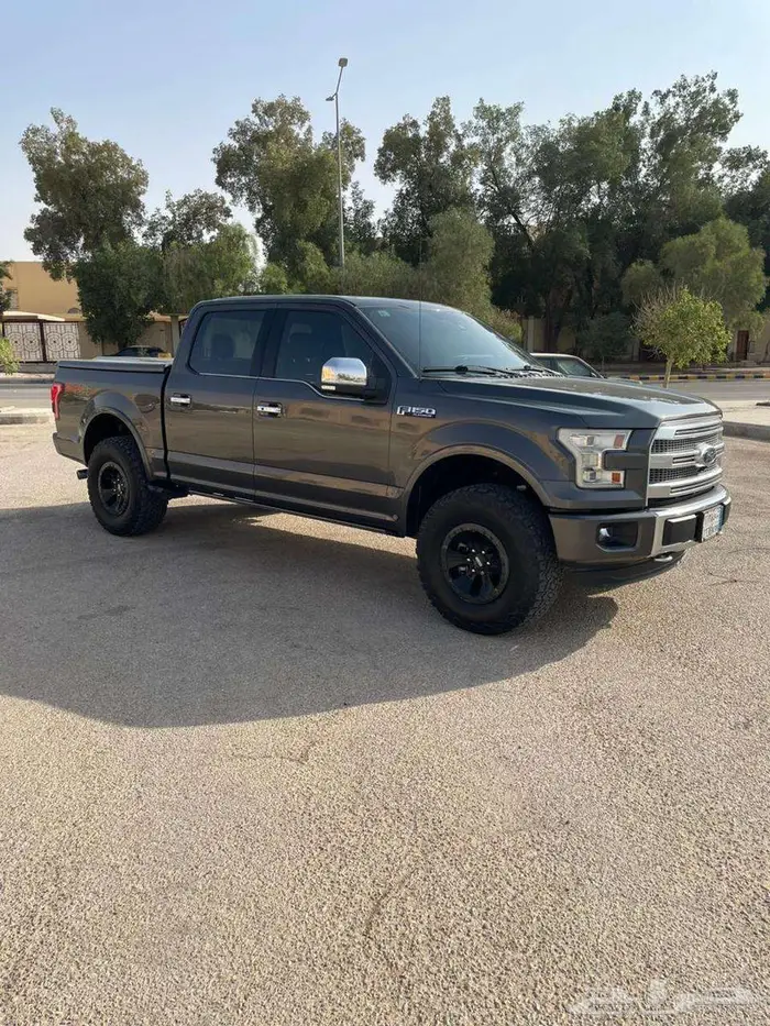 فورد F150 14