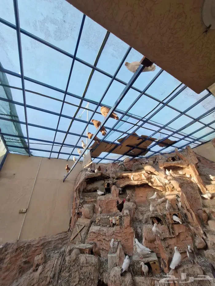 حمام فرنسي ومصري 0