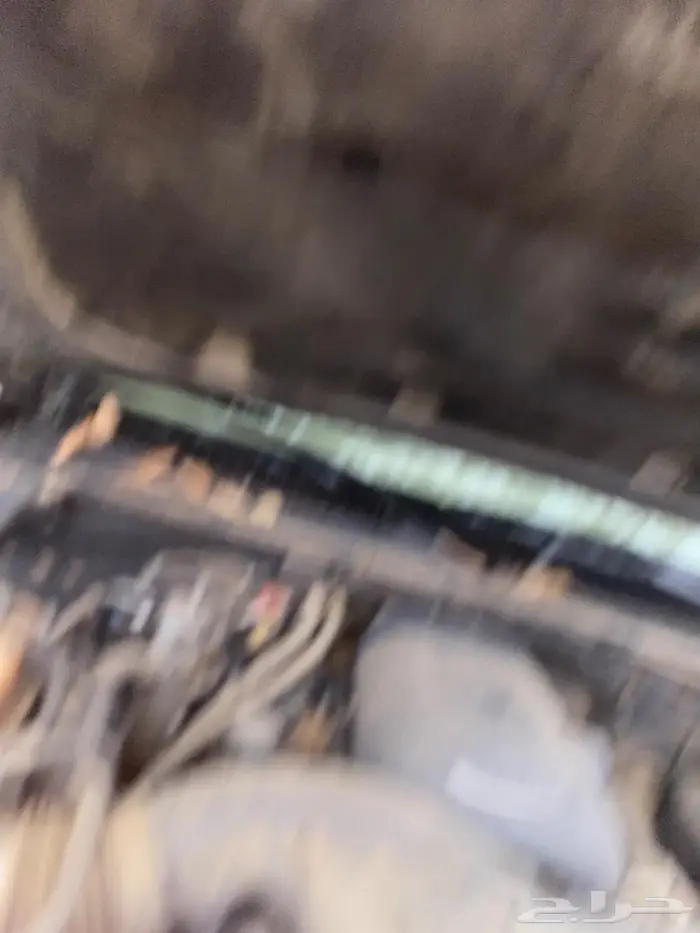 القنفذه القوز 6