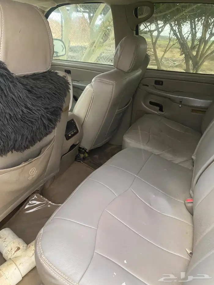 القنفذه القوز 4