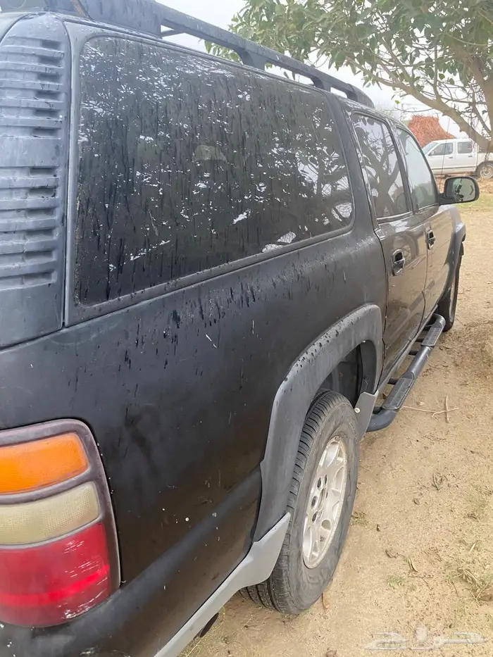 القنفذه القوز 5