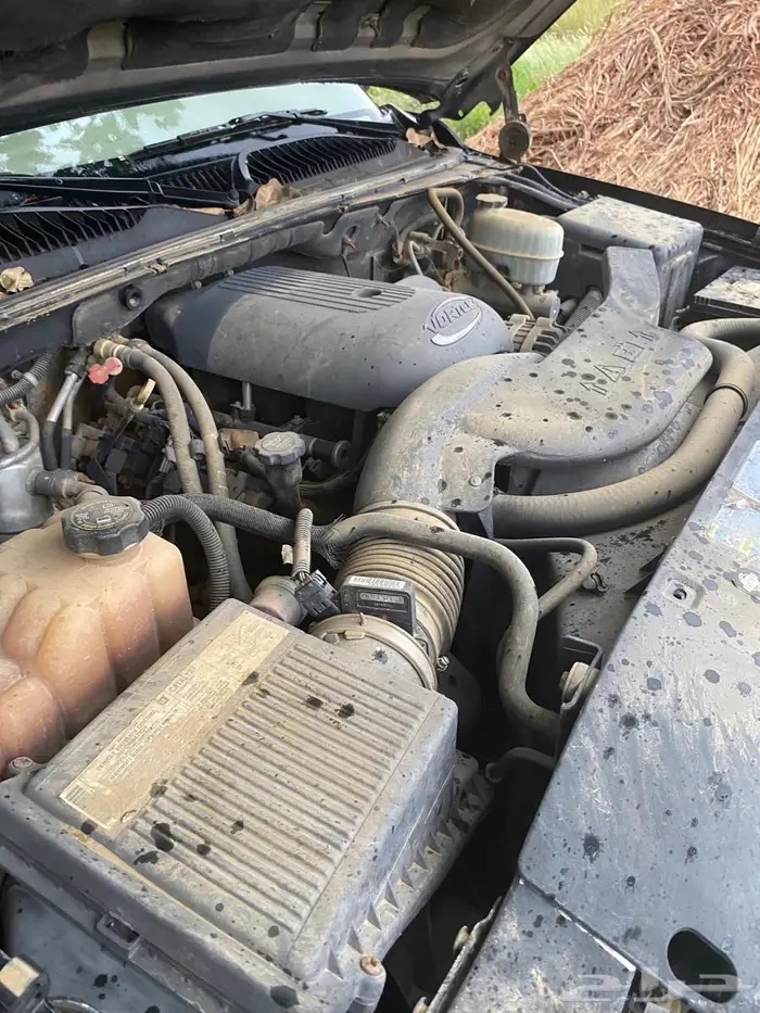 القنفذه القوز 7