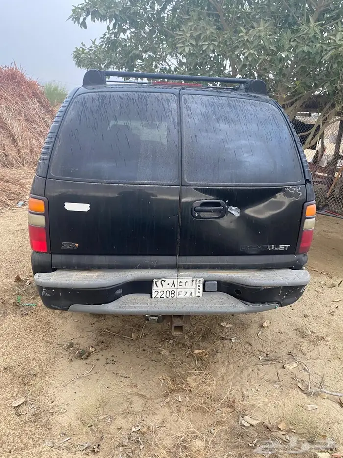 القنفذه القوز 2