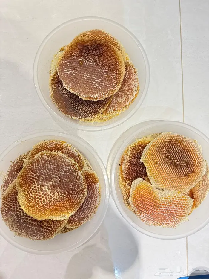 عسل سدر للبيع 1