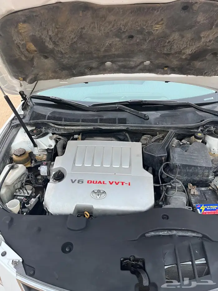 اوريون 2009 14