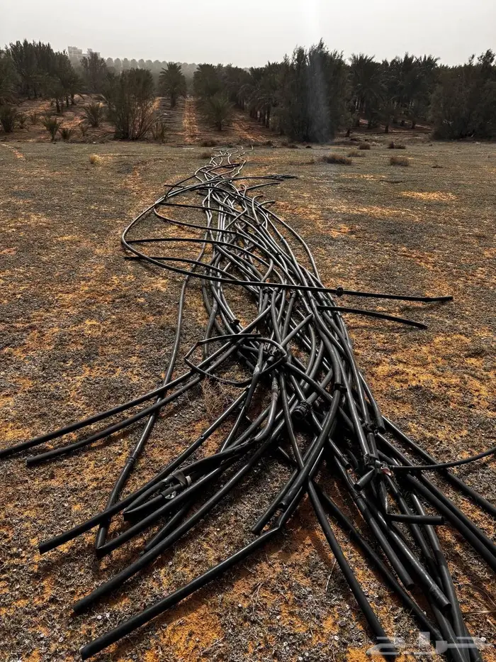 للبيع ليات زراعية (سكراب) الوسائل 3