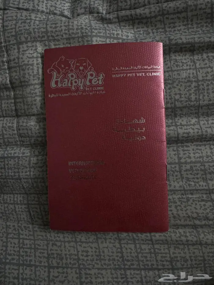 كلب ذكر عمره سنة ونص 2