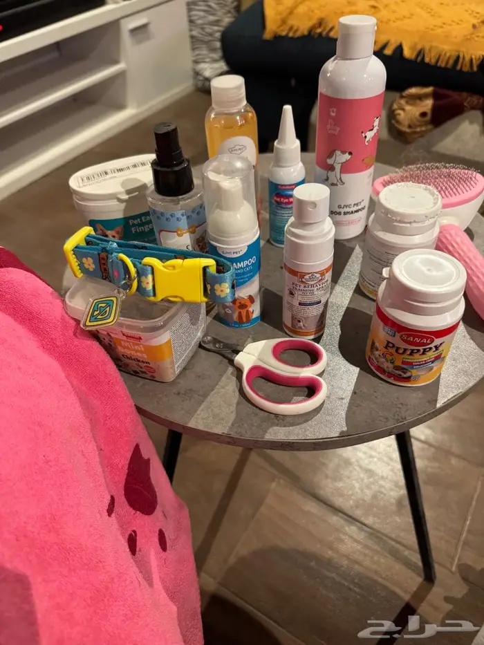 كلب ذكر عمره سنة ونص 4