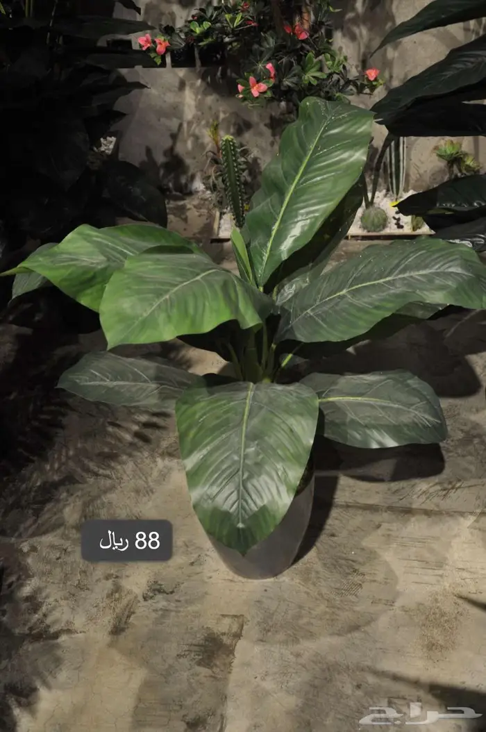 أشجار صناعية مشابة الطبيعي 7