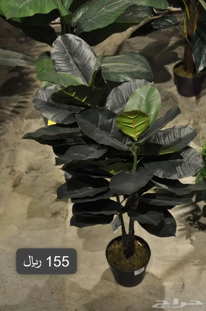 أشجار صناعية مشابة الطبيعي 6