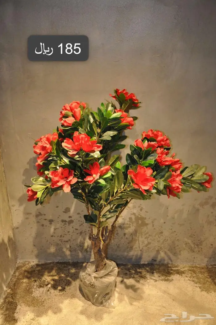 أشجار صناعية مشابة الطبيعي 3