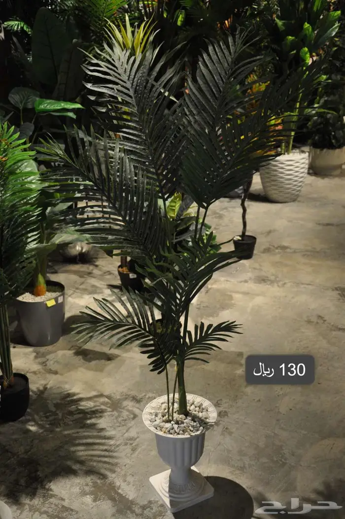 أشجار صناعية مشابة الطبيعي 5