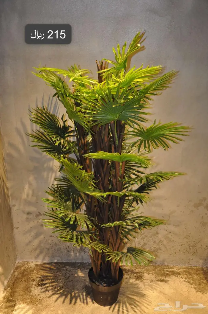 أشجار صناعية مشابة الطبيعي 0