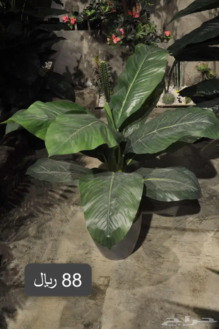 أشجار صناعية مشابة الطبيعي 8