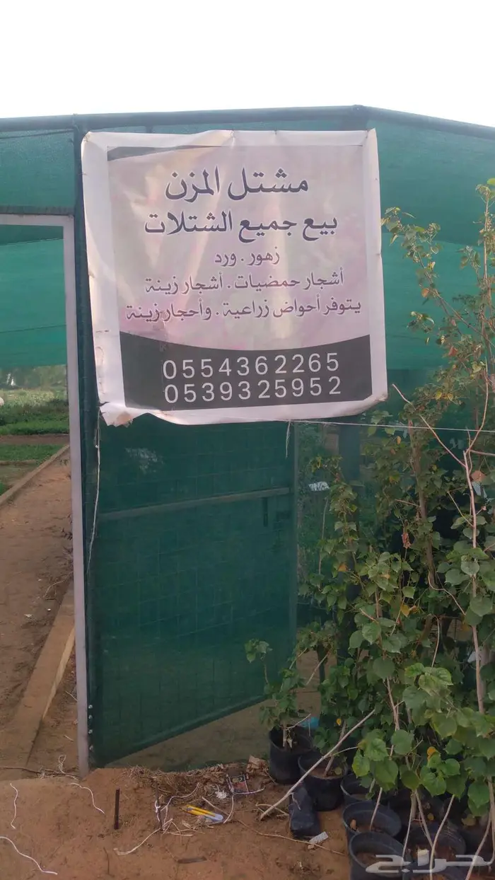 مشتل المتزن لبيع جميع الشتلات البكيرية 3