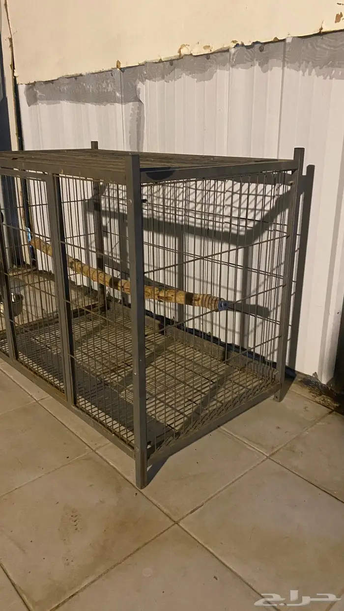 قفص ببغاء وقطط وكلاب 0