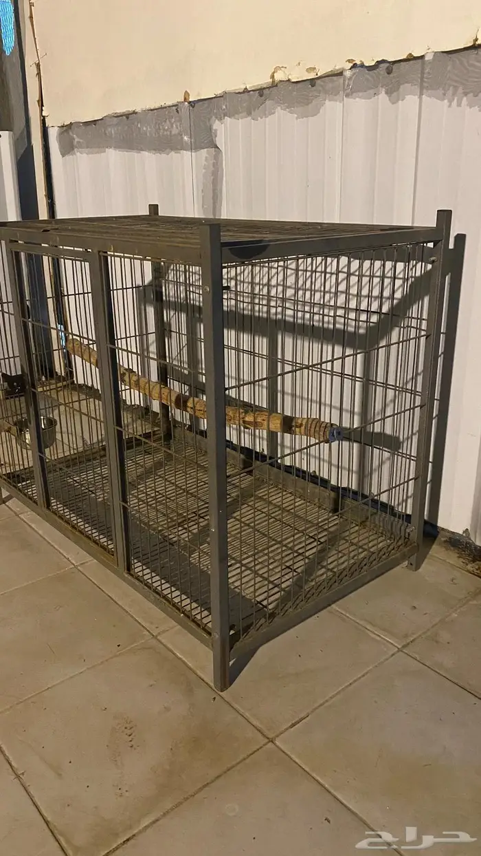 قفص ببغاء وقطط وكلاب 3