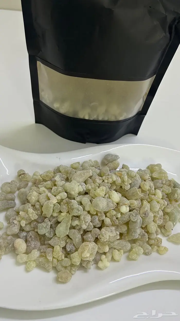 اللبان الحوجري العماني العلاجي القطفة الاولى 0