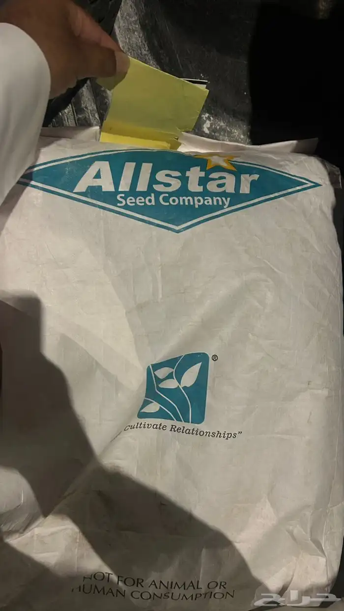 كياس برسيم الستار امريكي كالفورنيا 0