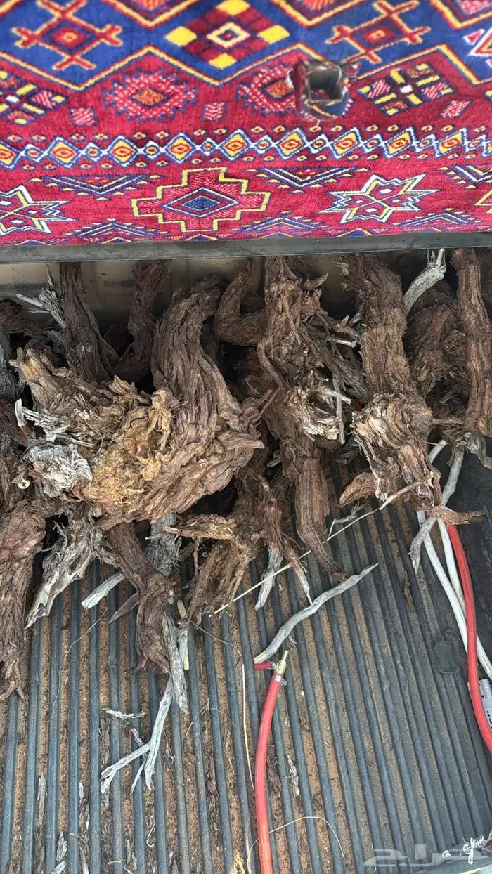 ارطى مسح حوض 1