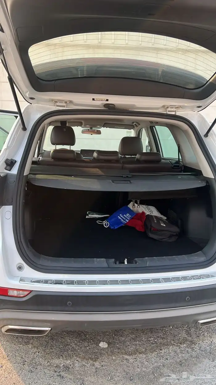 شانجان 2020 ممشى قليل بدون حوادث 13