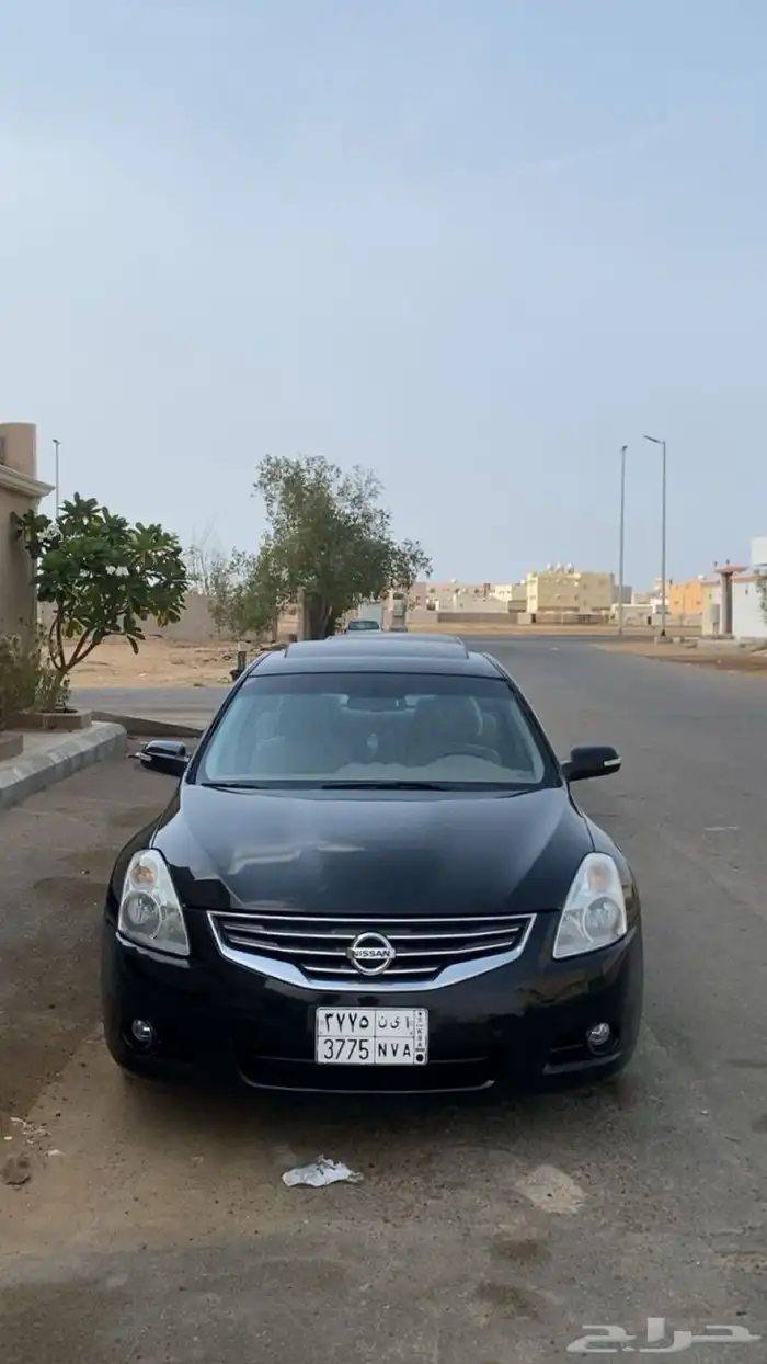 التيما 2010 17