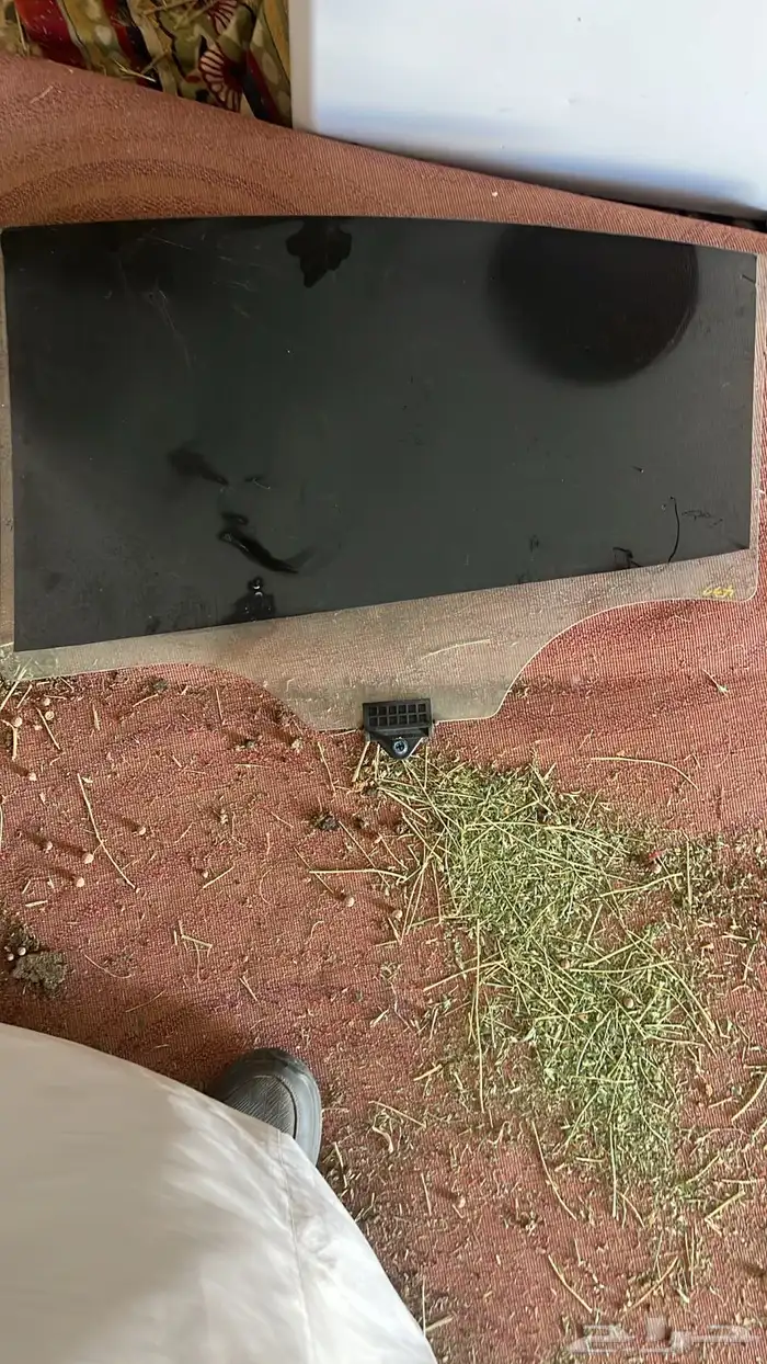 ديكور باب النترا 2020 1