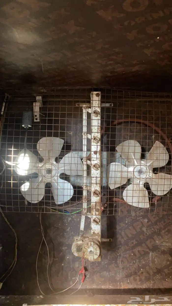 فقاصه ايطاليه 2