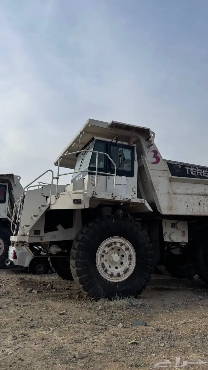 دمبرز عدد(2) 3