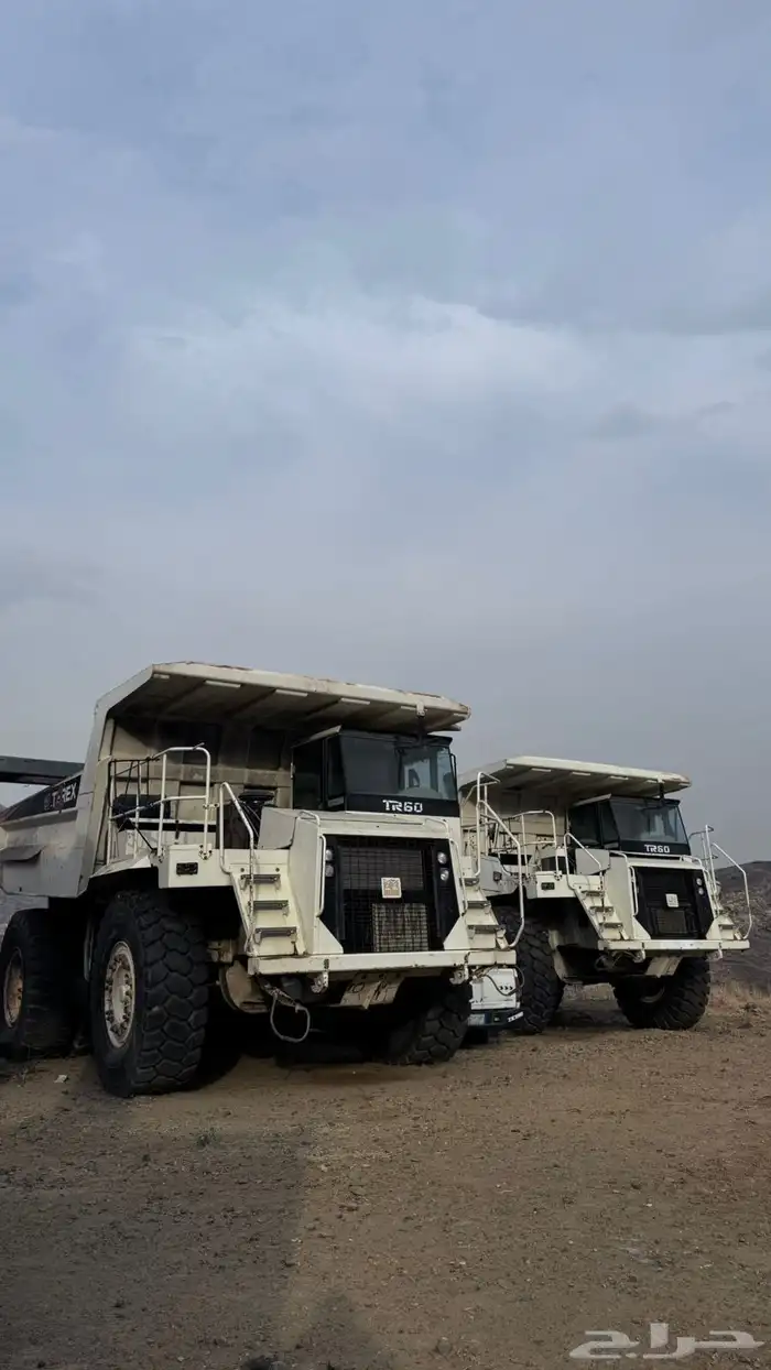 دمبرز عدد(2) 2