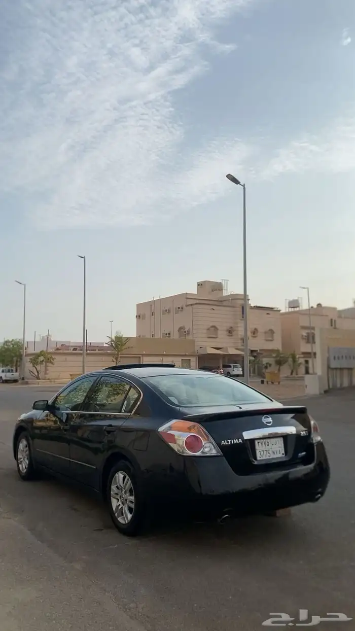 التيما 2010 19