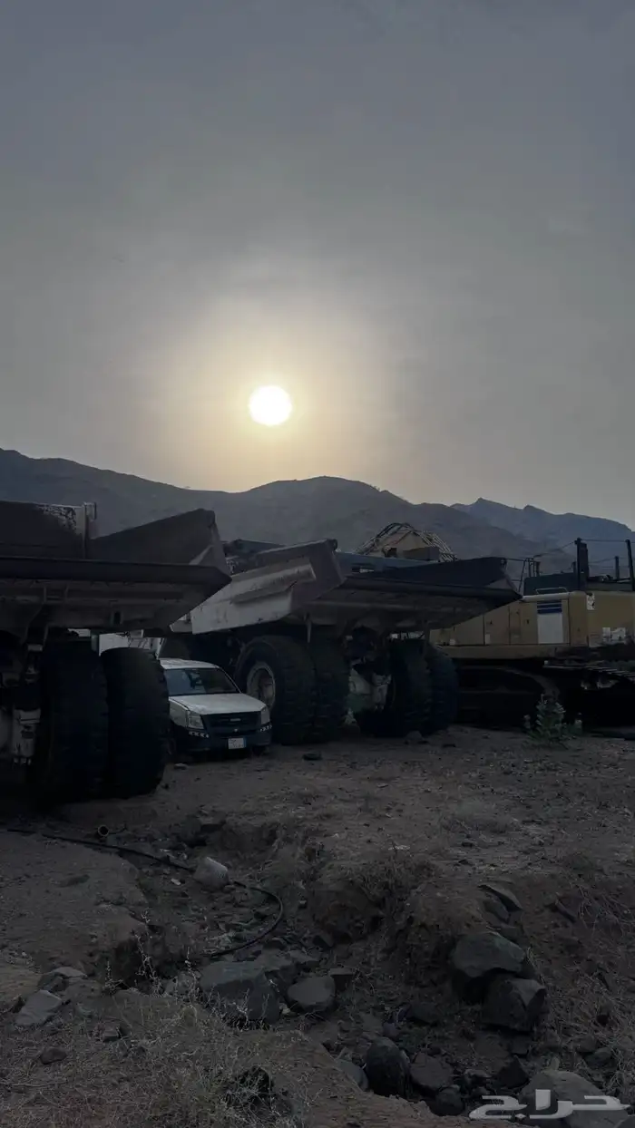 دمبرز عدد(2) 0