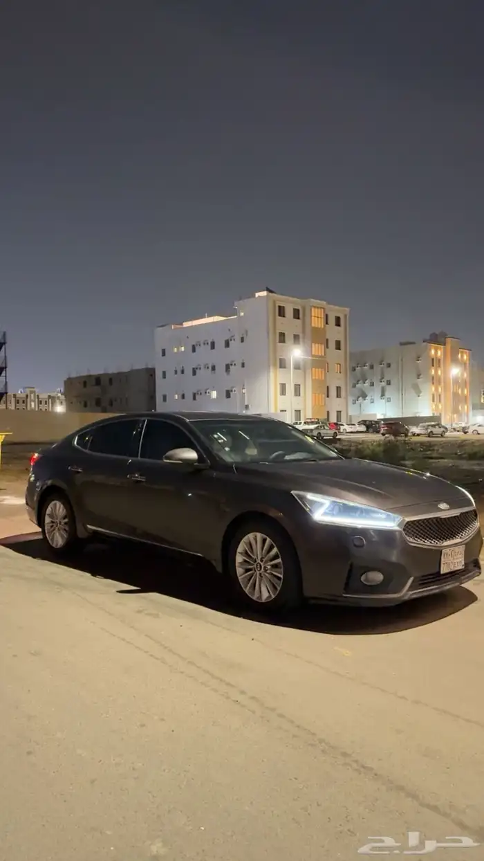 كادينزا 2018 للبيع 0